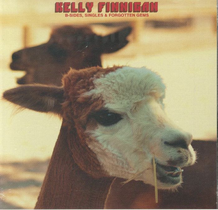 B-Sides, Singles & Forgotten Gems - CD CD cover