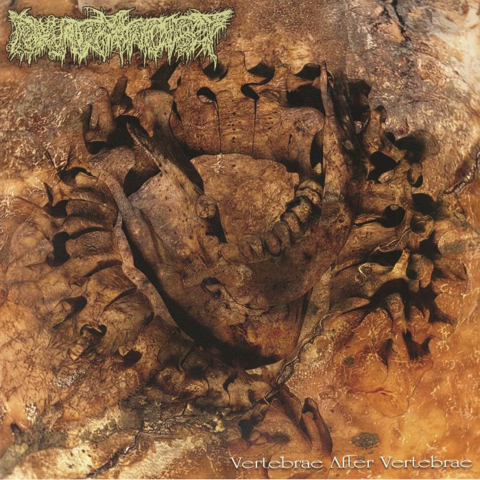 Vertebrae After Vertebrae - Coloured Vinyl LP vinyl record cover