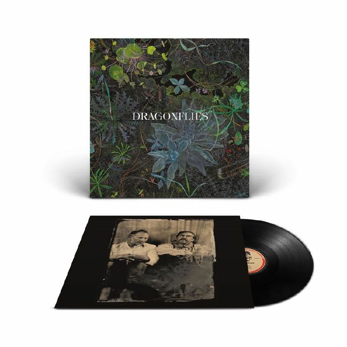 Dragonflies - Limited Edition Vinyl LP vinyl record cover