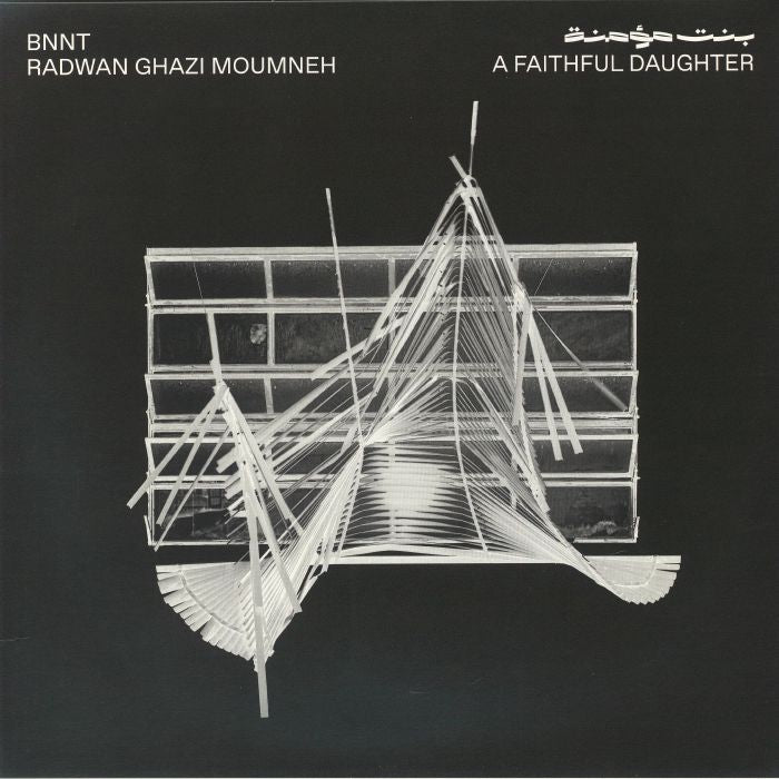 A Faithful Daughter - Vinyl LP vinyl record cover