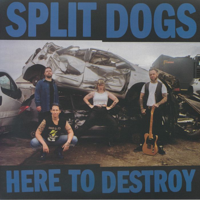 Here To Destroy - Denim Blue Marbled Vinyl LP vinyl record cover