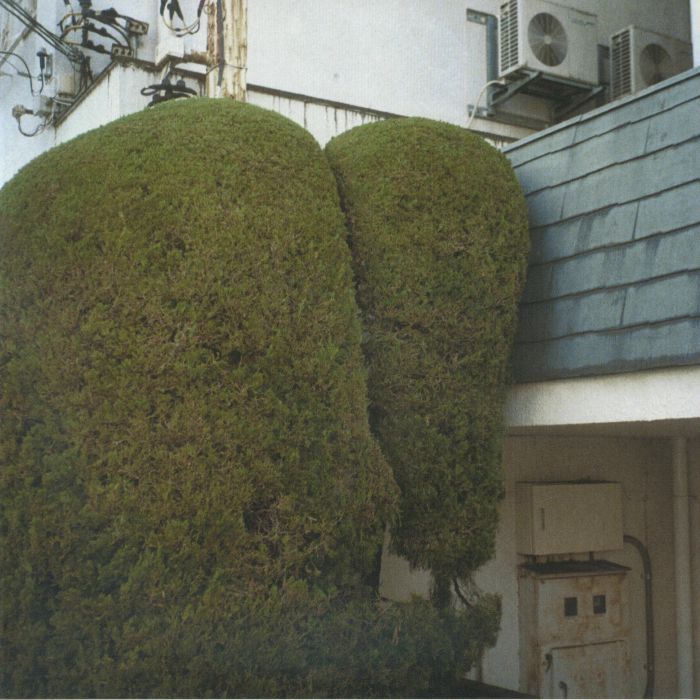 Errands - Vinyl LP vinyl record cover