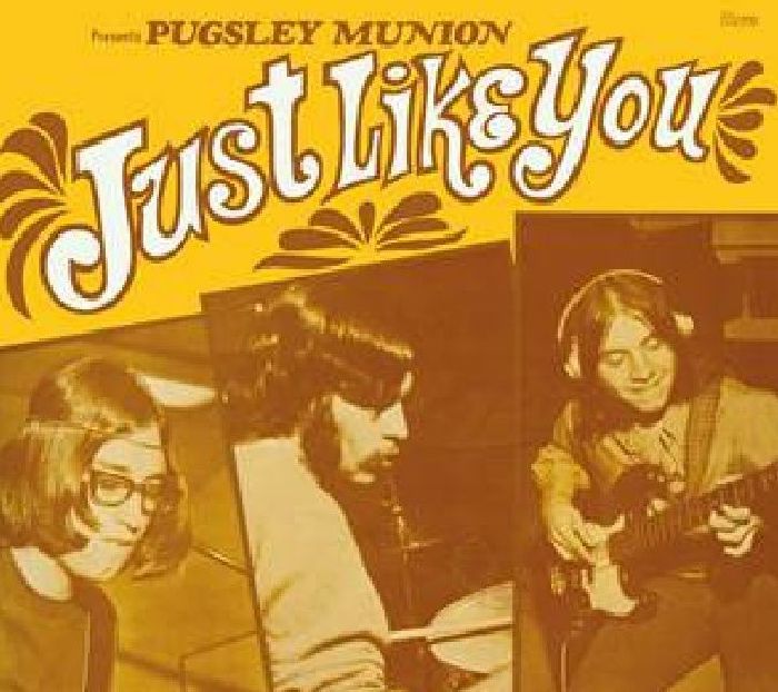 Just Like You - Remastered Vinyl LP vinyl record cover