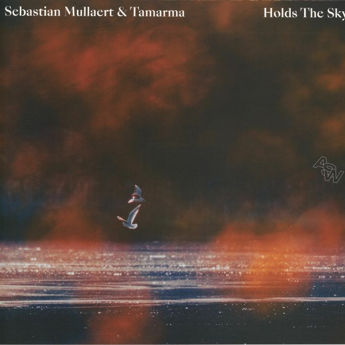 Holds The Sky - Vinyl LP vinyl record cover