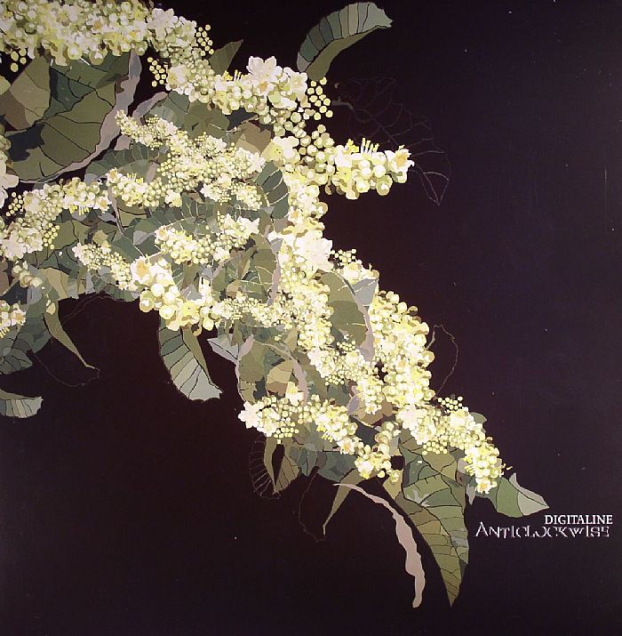 Anticlockwise - 2xLP vinyl record cover