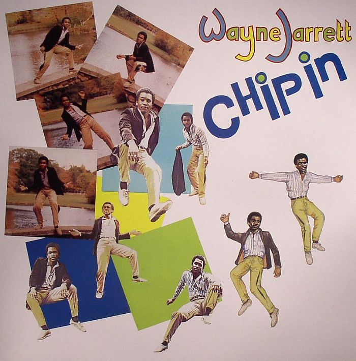 Chip In - Vinyl LP vinyl record cover