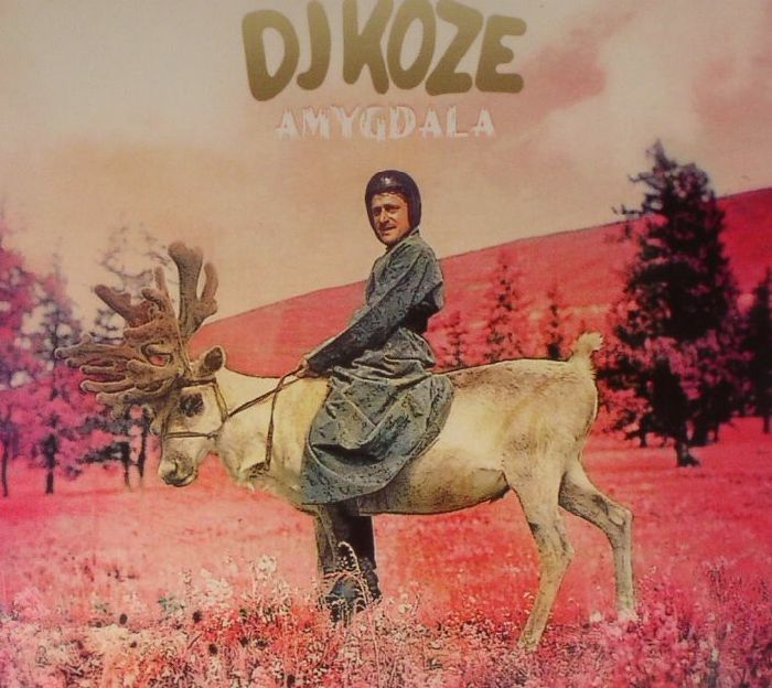 Amygdala - CD CD cover