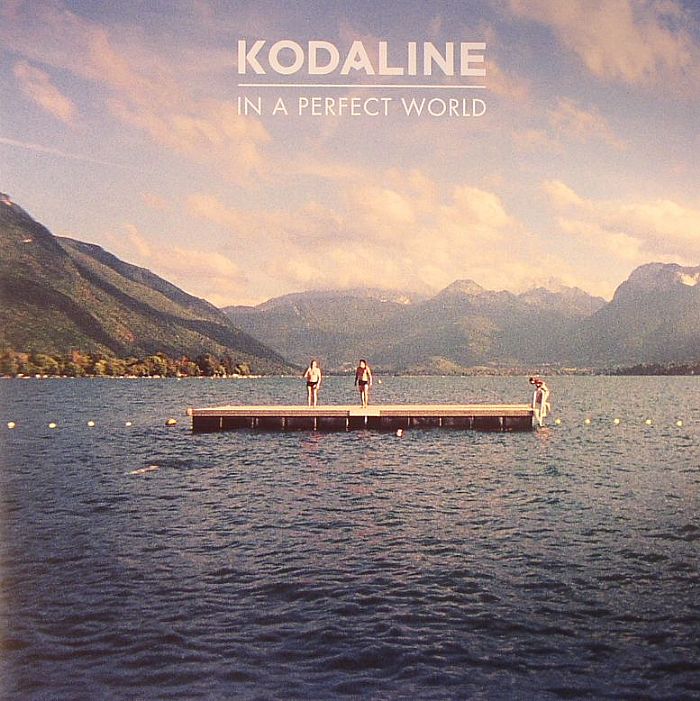 In A Perfect World - Limited Edition Vinyl LP vinyl record cover