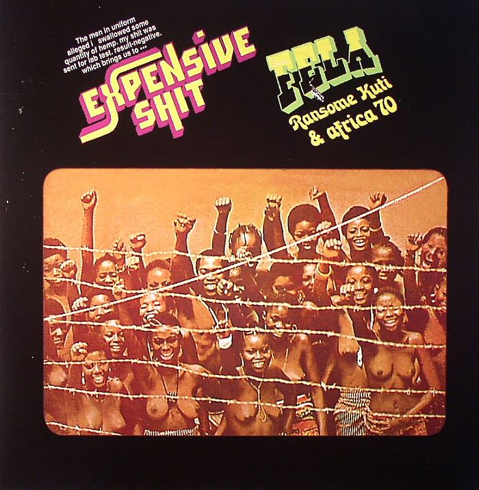 Expensive Shit - Vinyl LP vinyl record cover