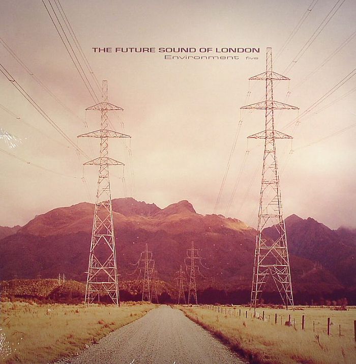 Environment Five - Vinyl LP vinyl record cover