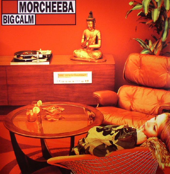 Big Calm - Vinyl LP vinyl record cover