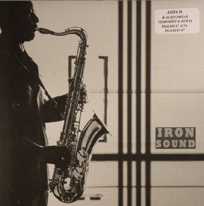 Terrorist - Vinyl Single vinyl record cover