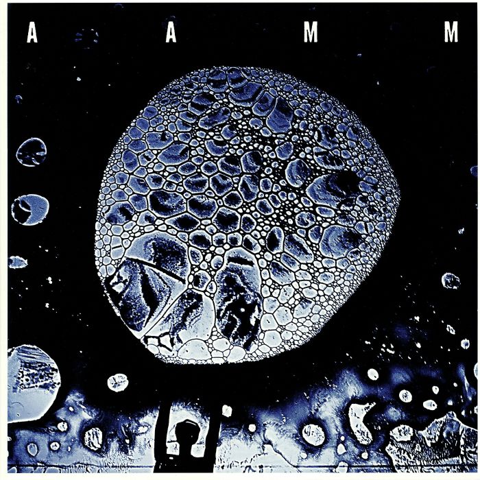 AAMM - Vinyl LP vinyl record cover