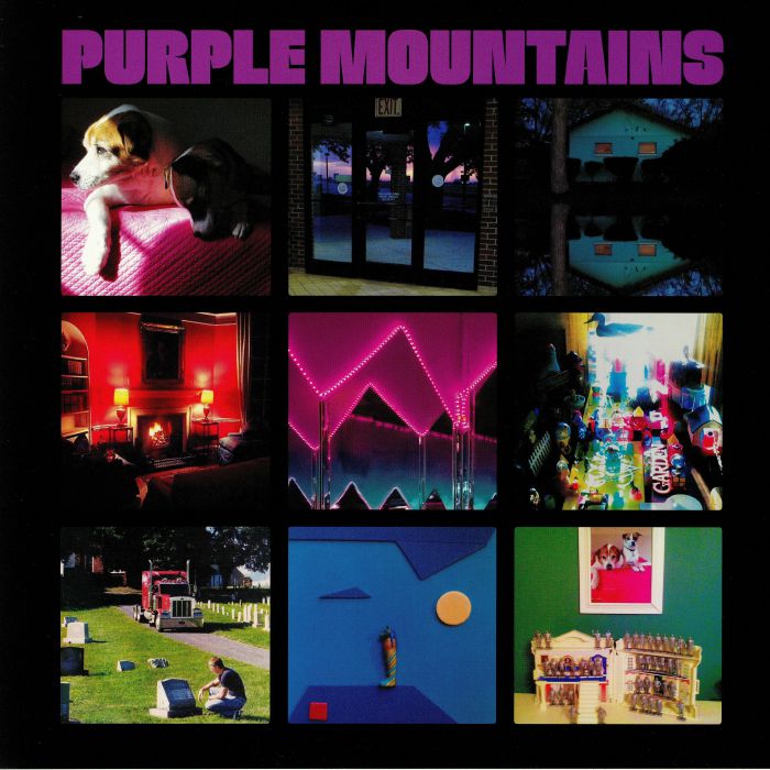 Purple Mountains - Vinyl LP vinyl record cover