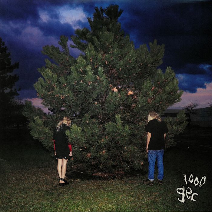 1000 Gecs - Vinyl LP vinyl record cover
