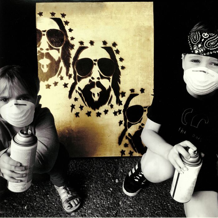 Lapse Of Luxury - Vinyl LP vinyl record cover
