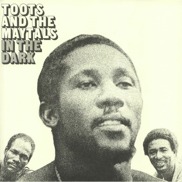 In The Dark - Vinyl LP vinyl record cover