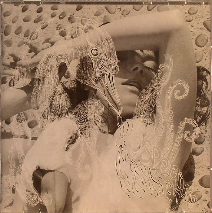 Vespertine - CD CD cover