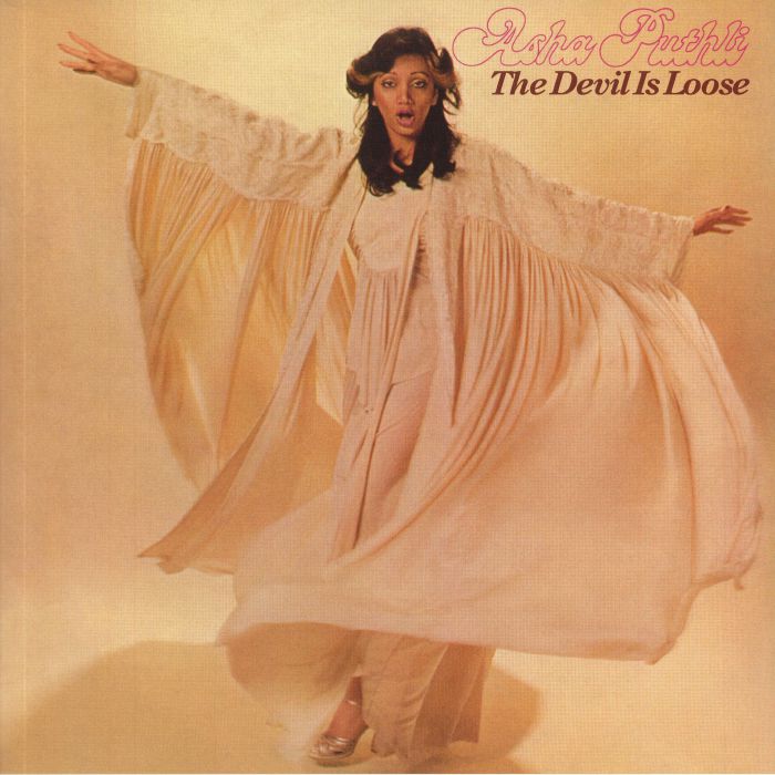 The Devil Is Loose - Vinyl LP vinyl record cover