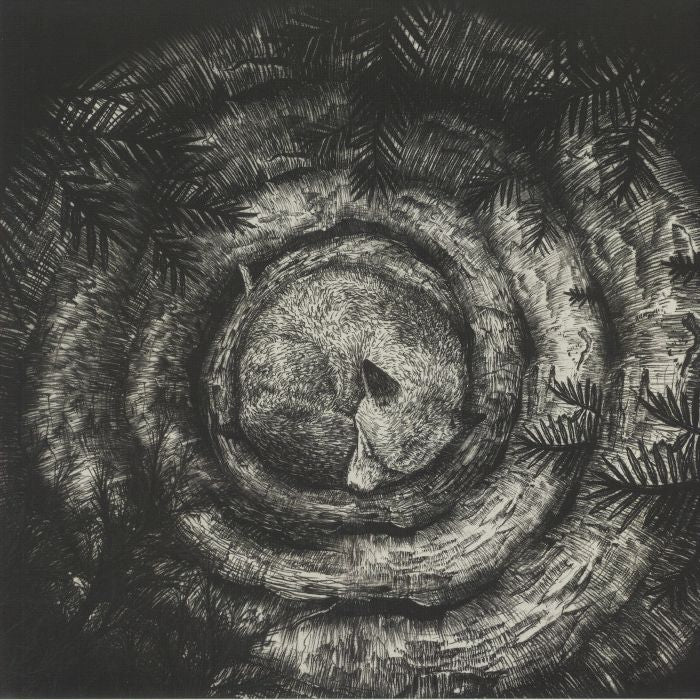 Forhist - Vinyl LP vinyl record cover