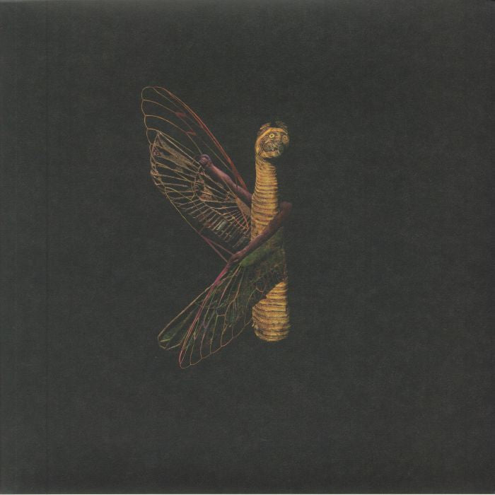 The Luck Hour - Vinyl LP vinyl record cover