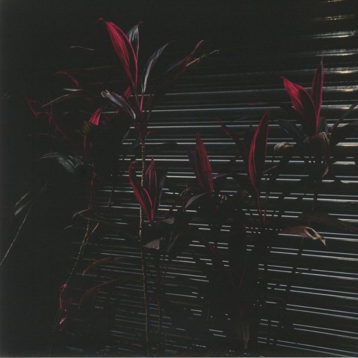 This New Heaven - Vinyl LP vinyl record cover