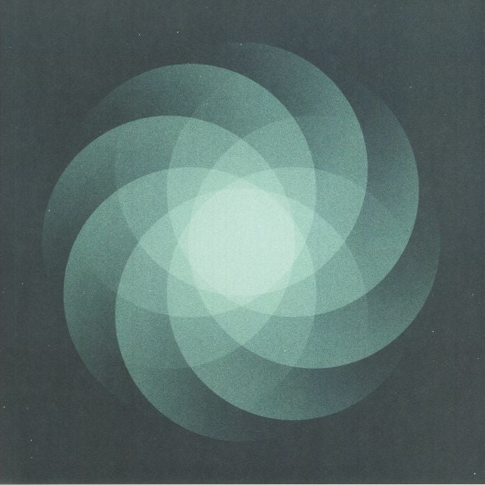 The Shape Of Everything - Vinyl LP vinyl record cover