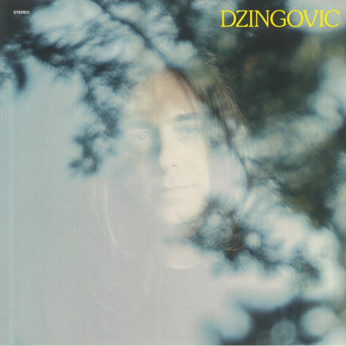 Dzingovic - Vinyl LP vinyl record cover