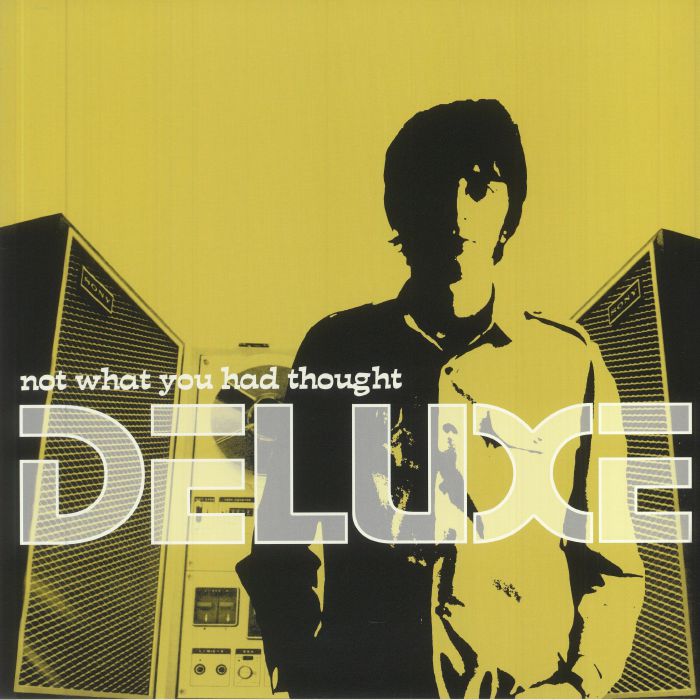 Not What You Had Thought - Limited Edition Silver Vinyl LP vinyl record cover