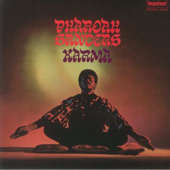 Karma - Acoustic Sounds Series Vinyl LP vinyl record cover