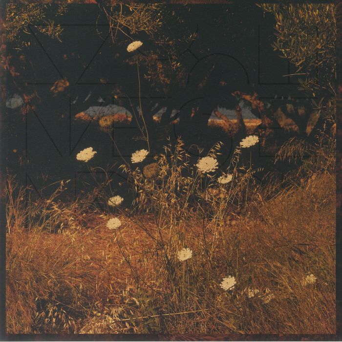 Earth Patterns - Vinyl LP vinyl record cover