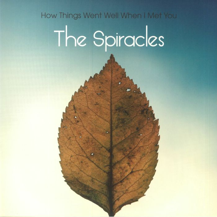 How Things Went Well When I Met You - Limited Edition Vinyl LP vinyl record cover