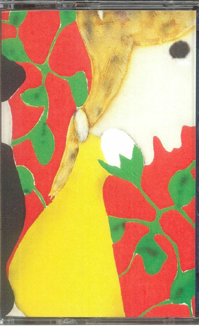 Mint Chip - Cassette audio cassette cover