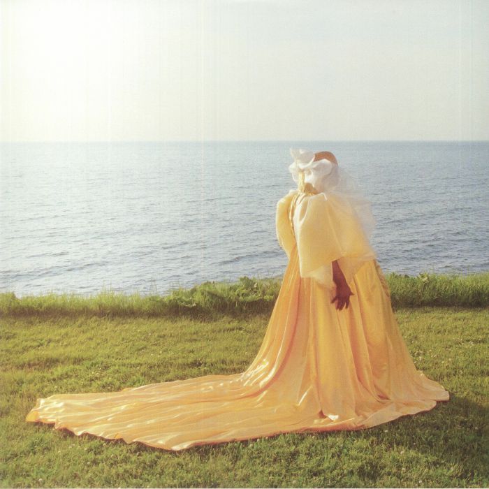 Soothsayer - Vinyl LP vinyl record cover