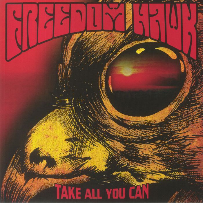 Take All You Can - Vinyl LP vinyl record cover