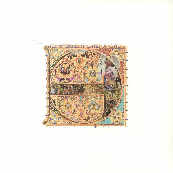 Privacy Angels - Vinyl LP vinyl record cover