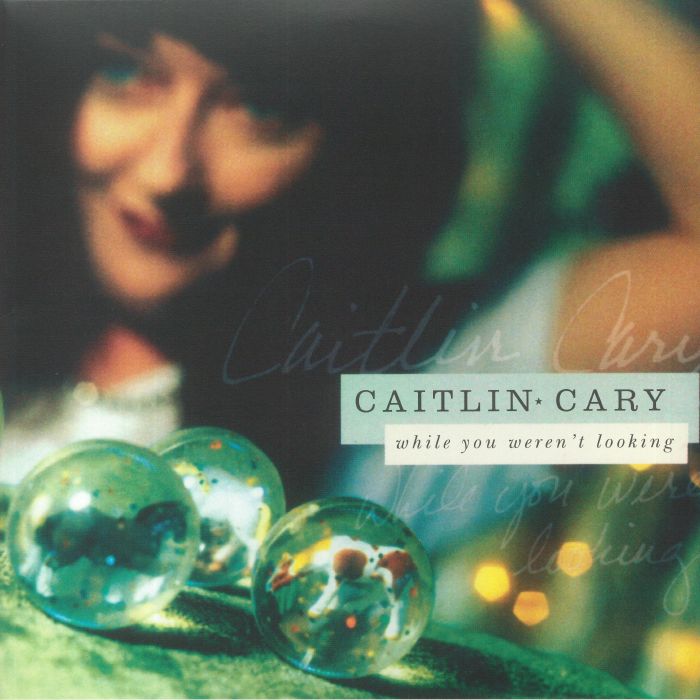 While You Weren't Looking (20th Anniversary Edition) - 2xLP vinyl record cover
