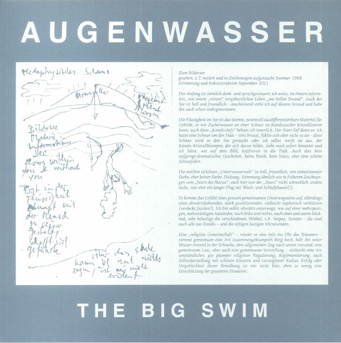 The Big Swim - Vinyl LP vinyl record cover