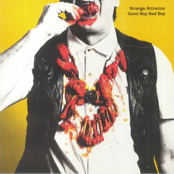 Good Boy Bad Boy - Vinyl LP vinyl record cover
