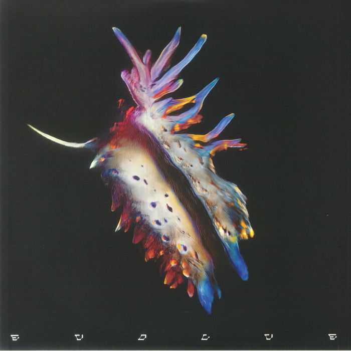 Evolve - 2xLP vinyl record cover