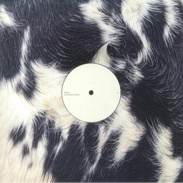 Dismantled Into Juice - Vinyl EP vinyl record cover