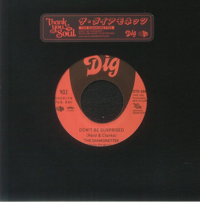 Don't Be Surprised - Vinyl Single vinyl record cover