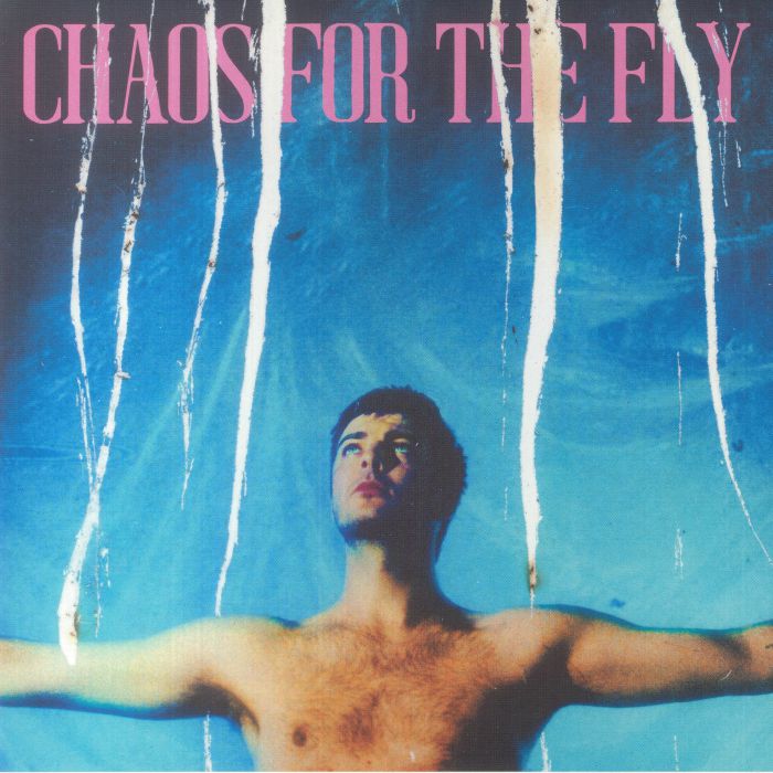 Chaos For The Fly - Vinyl LP vinyl record cover