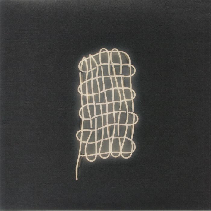 Plural Not Possessive - Vinyl LP vinyl record cover