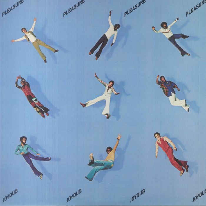 Joyous - Vinyl LP vinyl record cover