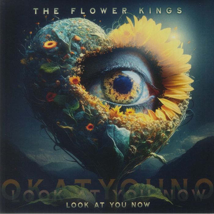 Look At You Now - 180 Gram Vinyl 2xLP vinyl record cover