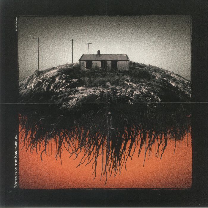 Notes From The Boneyard Vol 1 - Orange Vinyl LP vinyl record cover