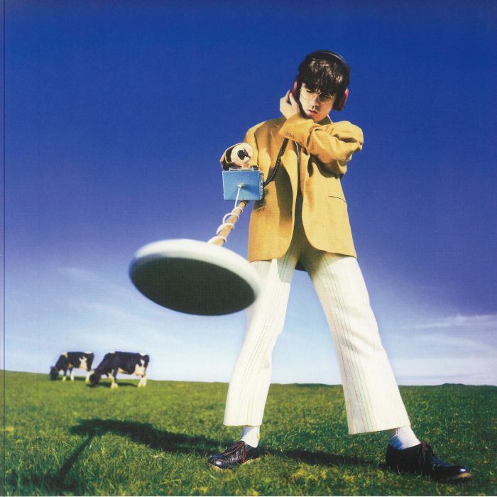 What Happened To The Beach? - Vinyl LP vinyl record cover