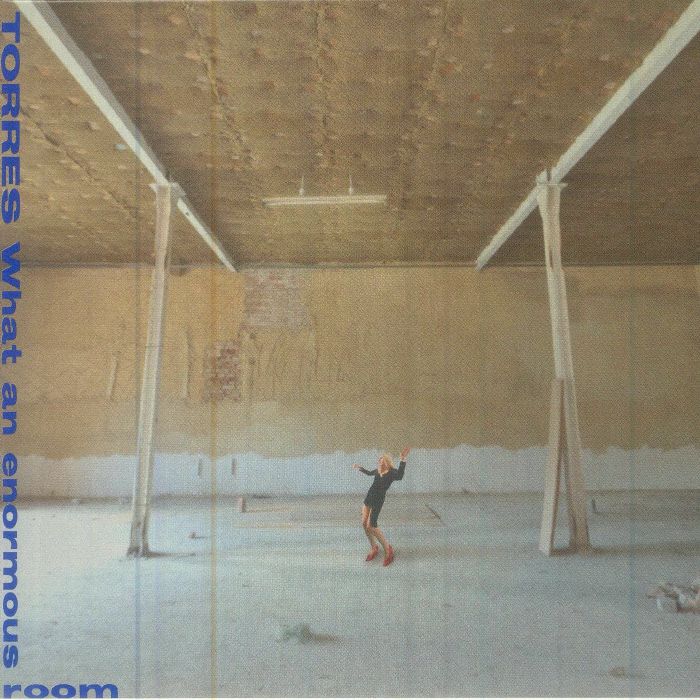 What an enormous room - CD CD cover