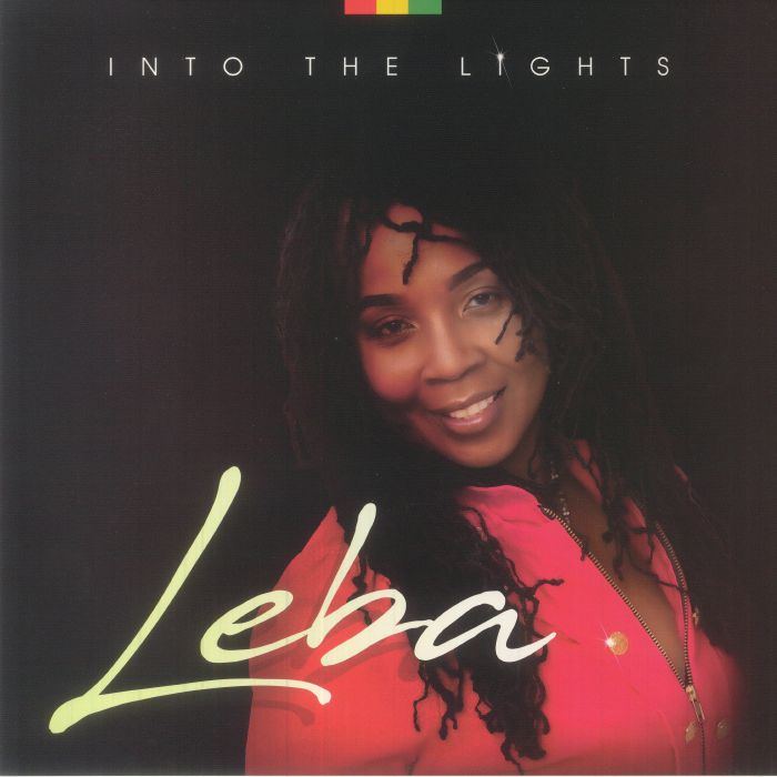 Into The Lights - Vinyl LP vinyl record cover